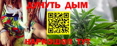 СК Дубна