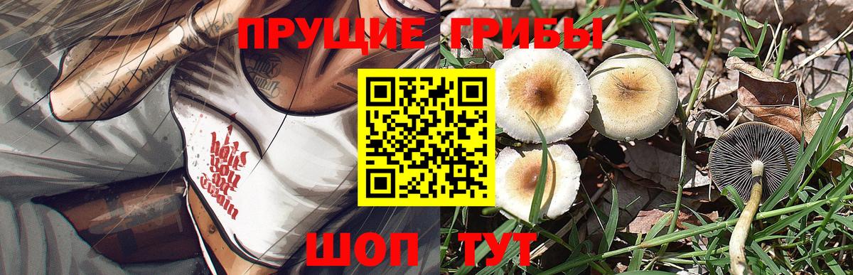 Галлюциногенные грибы мицелий  Вход с VPN  продажа наркотиков  Кандалакша 